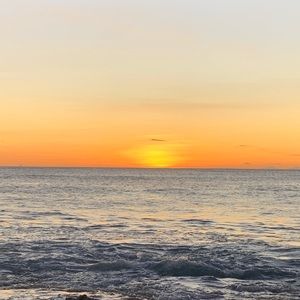 Meet your Posher, Mizzy